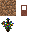 Texture for spruce sapling