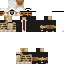 Texture for tiger