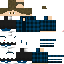Texture for 041210