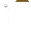 Texture for snowdude