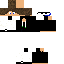 Texture for Craft1