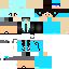 Texture for Steve