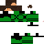 Texture for ruan carapace