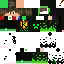 Texture for samet