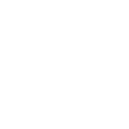 Texture for unicode_page_0c
