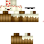 Texture for ds