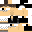 Texture for TimidoPlays