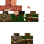 Texture for thewalkingsteve