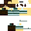 Texture for dsf