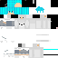 Texture for BearTAmvan