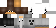 Texture for pfv