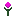 Texture for paranoiflower