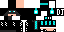 Texture for Patch