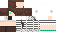 Texture for 進化 Z2