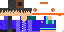 Texture for NDS 錢! 