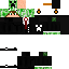 Texture for srlucasbr2015