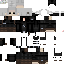 Texture for Witcher