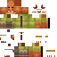 Texture for LIS