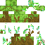 Texture for Forest Steve