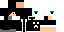 Texture for wsdsa