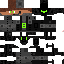Texture for Stealthion 3