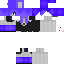 Texture for raven2
