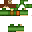 Texture for Logan the turtle lover