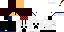 Texture for igor