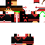 Texture for spaik23