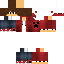 Texture for Pion