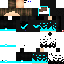Texture for steve