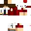 Texture for prodash321