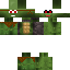 Texture for Exe tiny turtle 
