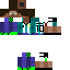 Texture for STEVE