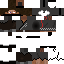 Texture for T1m