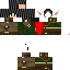 Texture for Arryn