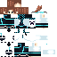 Texture for v6