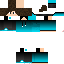 Texture for Dash