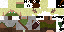Texture for Arcone