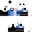 Texture for PANDA ARG
