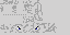 Texture for Narval