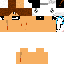 Texture for simon