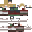 Texture for Link