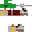 Texture for Didi Gryf