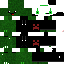 Texture for Turtle