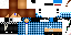 Texture for STEEVE
