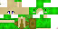 Texture for turtle