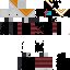 Texture for R65