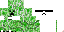 Texture for ada