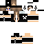 Texture for \bsb